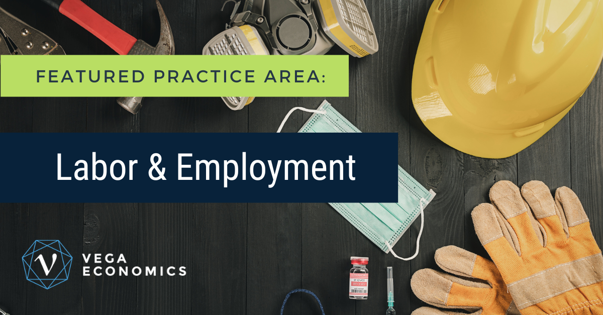 Practical Work Labour Featured Practice Area: Labor & Employment | Vega Economics